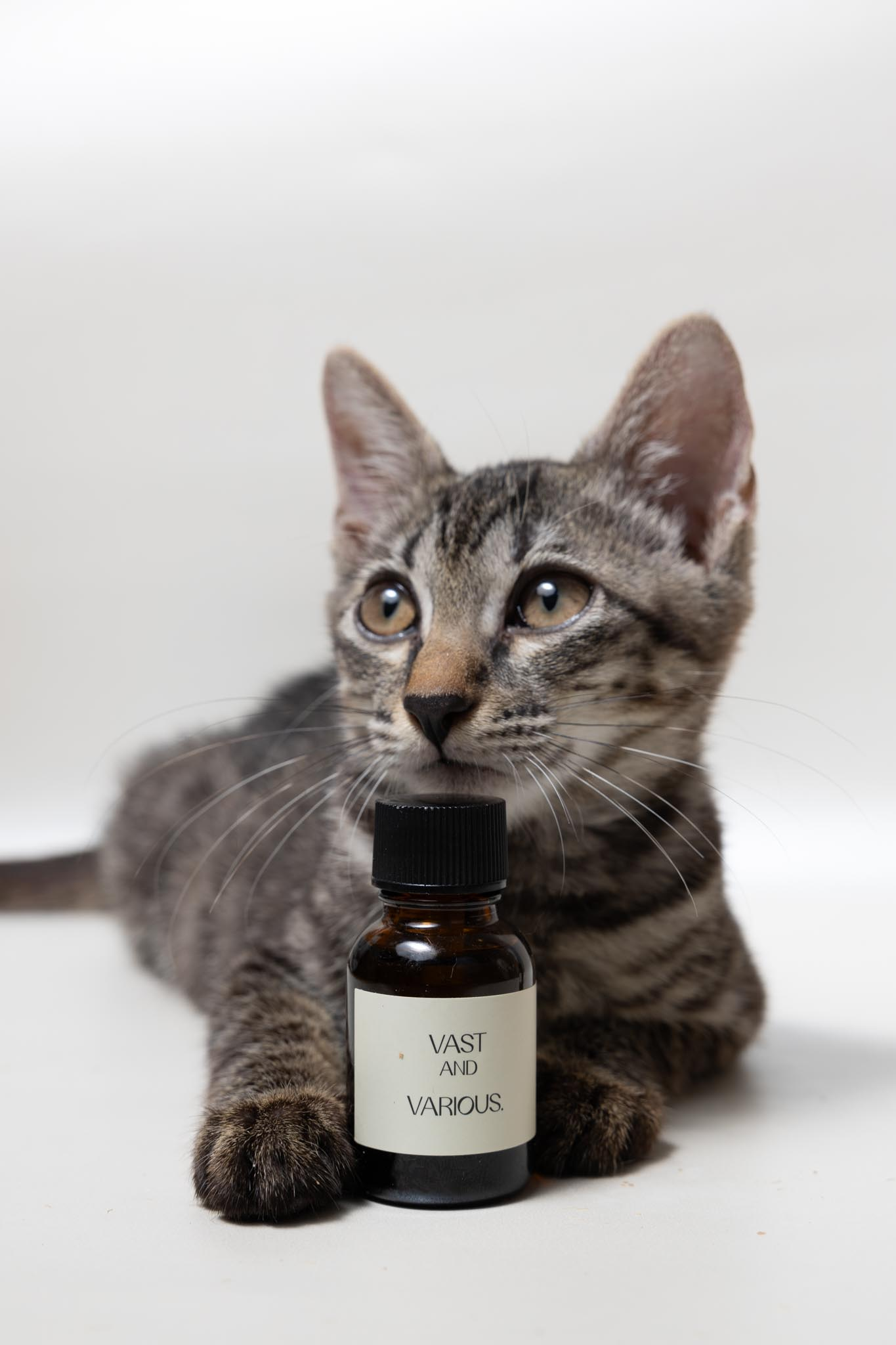 寵物友善單方香氛油系列 Pet Friendly Fragrance Oil Vast and Various.