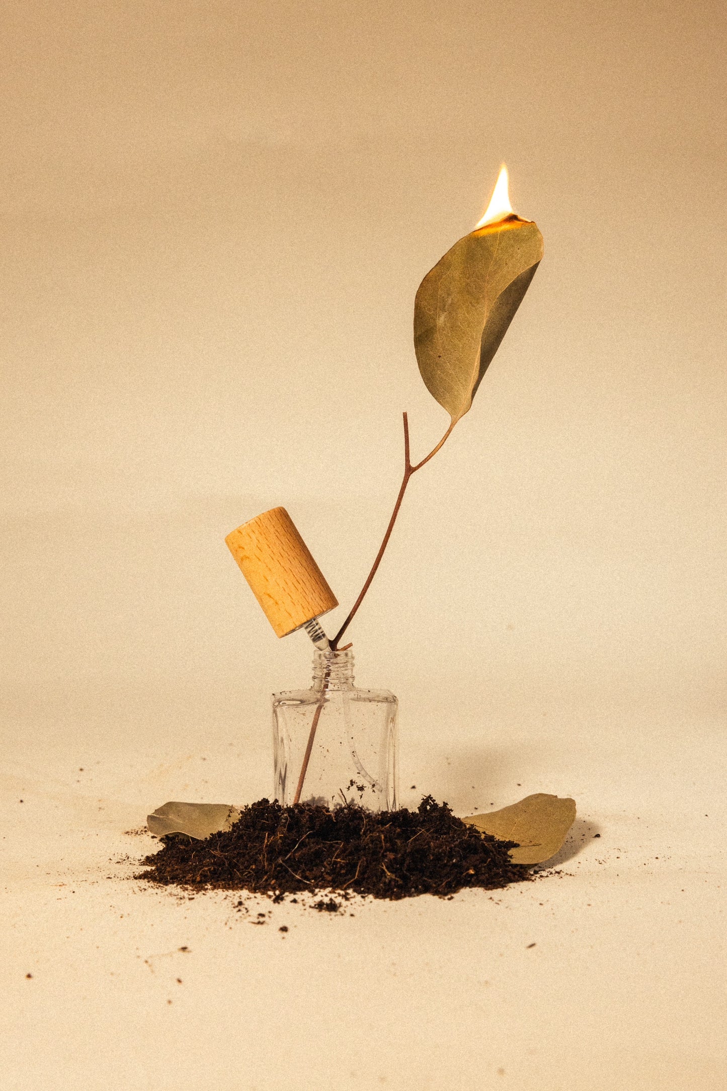 趨吉避凶組合—must get