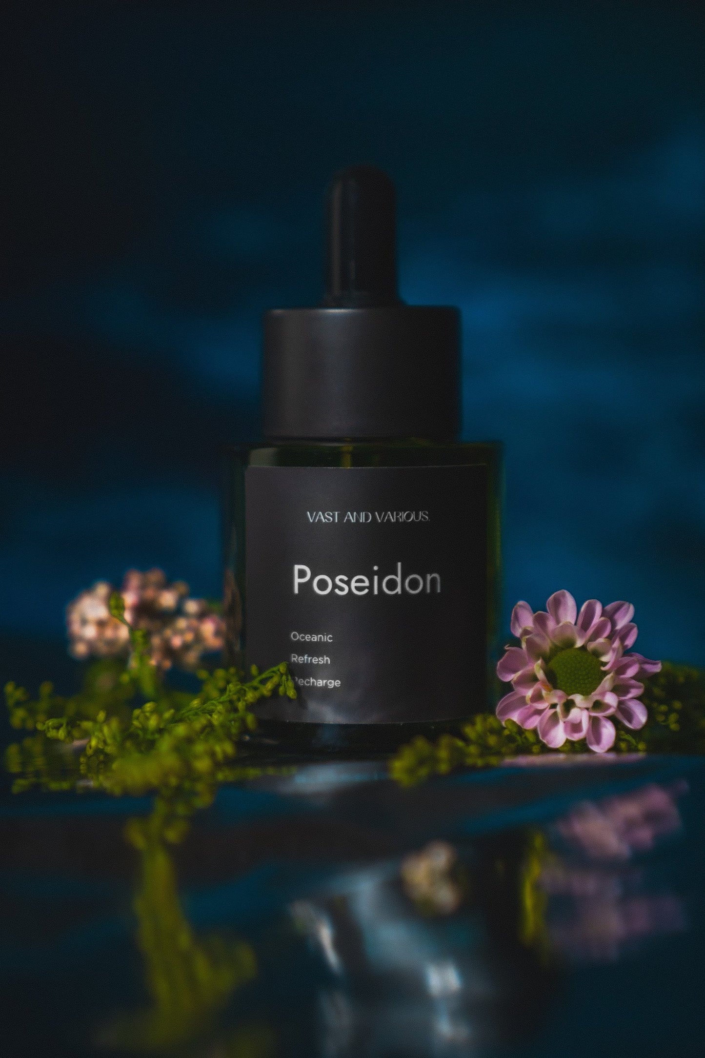波賽頓 Poseidon